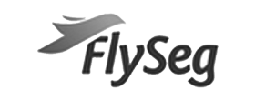 Logo Flyseg